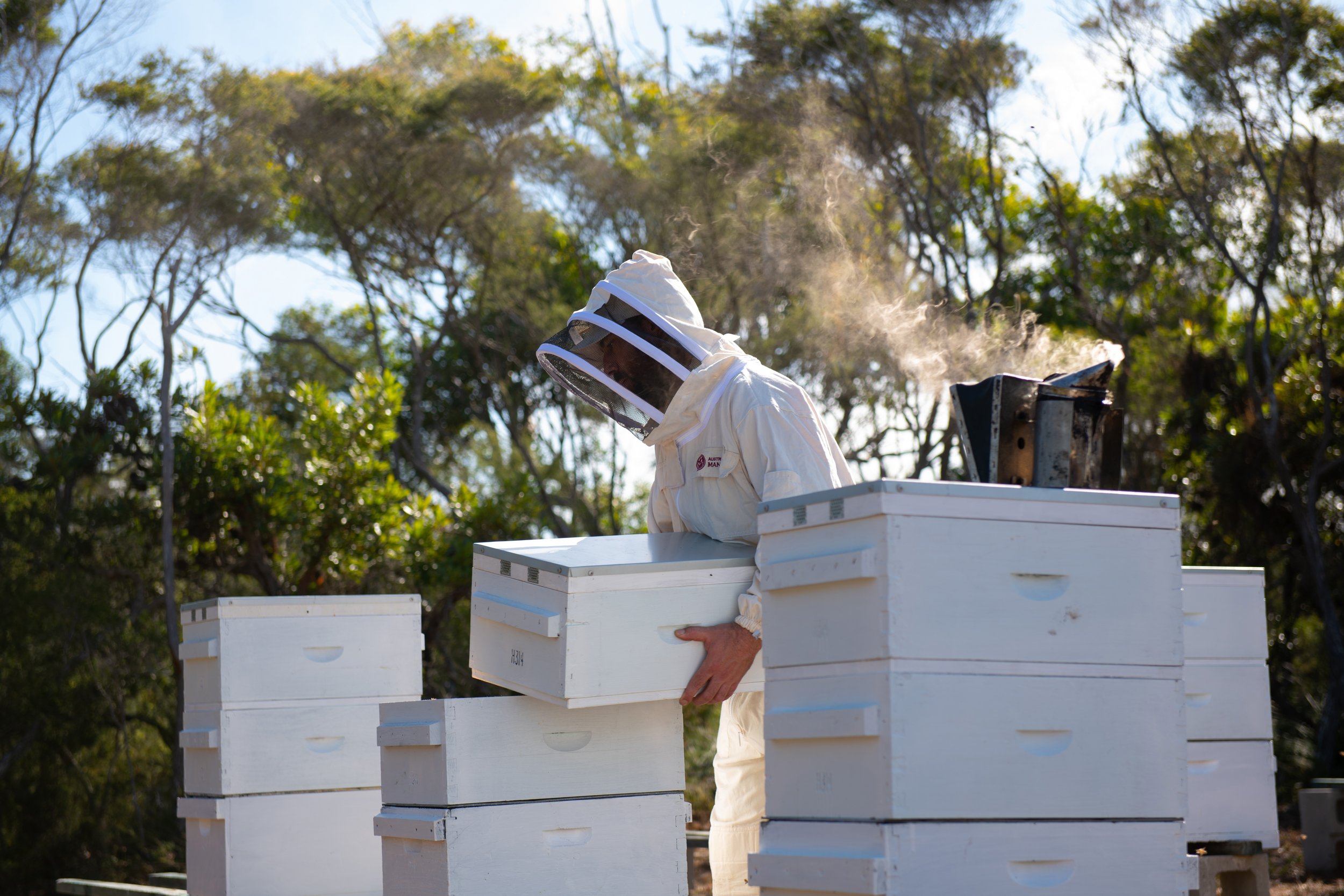 Australia's Manuka 日本公式